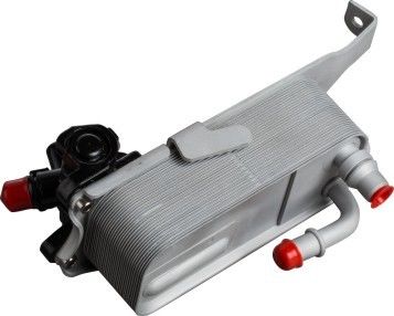 Calidad  17217600553 BMW Oil Cooler Replacement Bmw Car Parts For BMW 230i 328I N20 fábrica