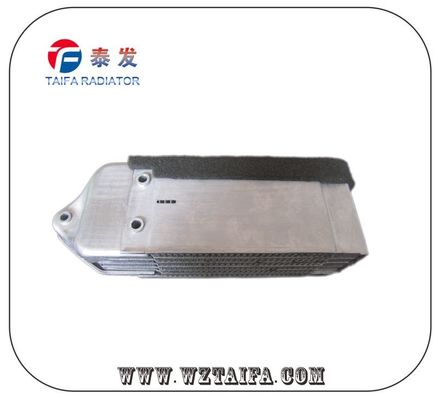 113117021 Refrigerador de aceite de motor diesel para automóviles Partes de rendimiento ISO 9001 Aprobado