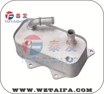 Vw passat 3bg w8 COOLER de aceite 07c117037
