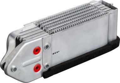 113 117 021 VW Refrigerador de aceite para Volkswagen Super Beetle / Beetle / Karmann