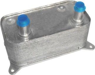 Refrigerador de aceite VW de alto rendimiento 07C117037 Área de transferencia de calor amplia para VW Phaeton 3D