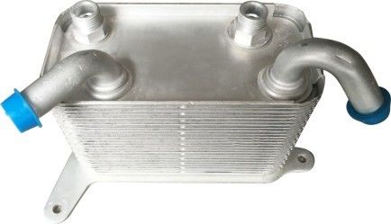 3D0409061G Vw Refrigerador de aceite externo para el conjunto del motor Volkswagen Phaeton