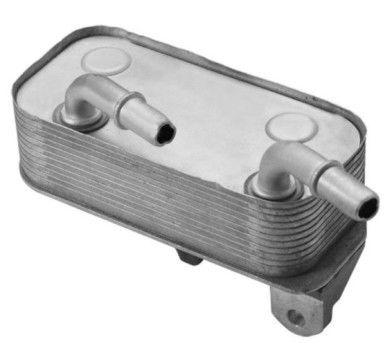 17217505823 BMW Frescor de la línea de aceite Frescor para BMW E39 540i E38 740i 740il 750il
