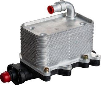 17217803830 Completo de refrigeración y filtro de aceite BMW para BMW 5 E61 E60 2002