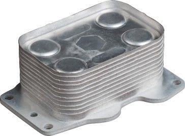 6790859280 Custom Oil Cooler For C70 C30 S40 II 2.0 D 100 KW D4204T El aceite de refrigeración para el refrigeración de gas natural es el más utilizado en la actualidad.